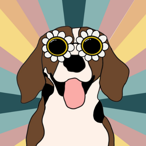 Happy Daisy Company